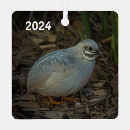 Ornement En Métal Bouton d'argent mâle Quail dans l'herbe