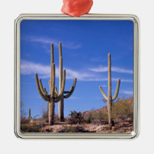Ornement En Métal Cactus saguaro géant multi-bras, Saguaro