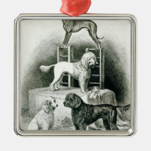 Ornement En Métal Caniches et whippet - groupe de M. Walton's
