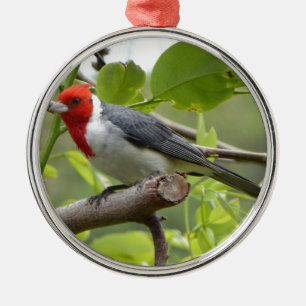 Ornement En Métal Cardinal à crête rouge