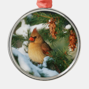 Ornement En Métal Cardinal du Nord dans un arbre, Illinois