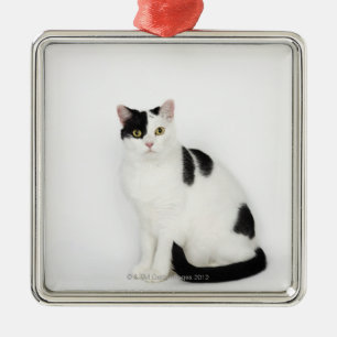 Ornement En Métal Chat blanc avec les taches noires