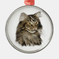 Chat de ragondin tigré noir du Maine