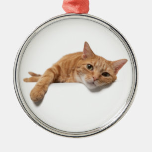 Ornement En Métal Chat Orange Posé En Bas