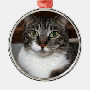 Ornement En Métal Chat tigré vous regardant photo