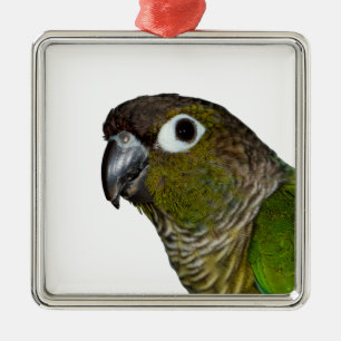 Ornement En Métal Cheeked vert Conure