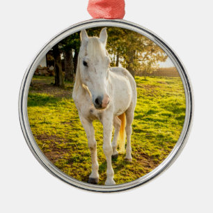 Ornement En Métal Cheval blanc