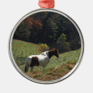 Ornement En Métal Cheval Brown et blanc à l'étang d'automne