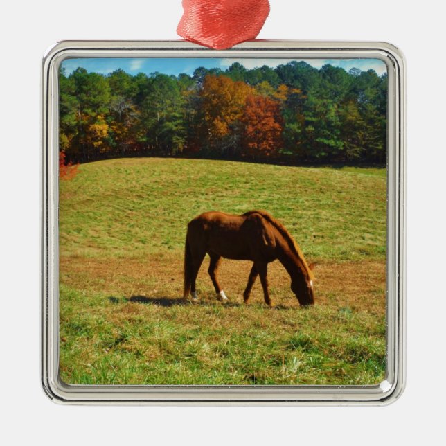 Ornement En Métal Cheval Brown rouge dans les arbres d'automne (Devant)