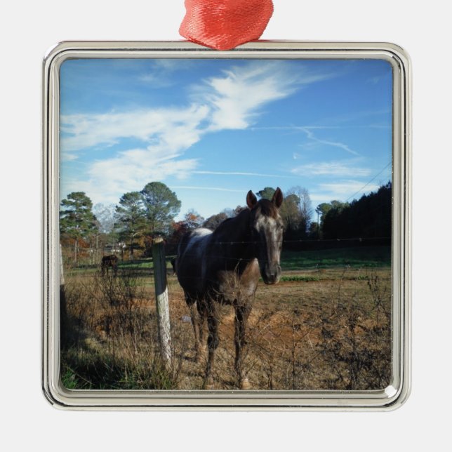 Ornement En Métal Cheval brun Coco et Crème (Devant)