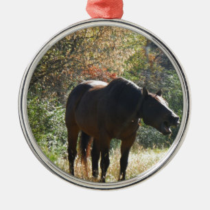 Ornement En Métal Cheval en automne