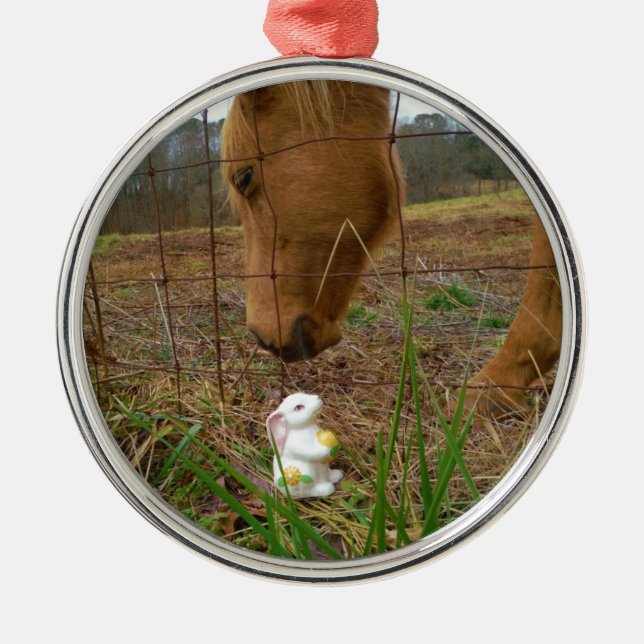 Ornement En Métal cheval et fleur de printemps Bunny (Devant)