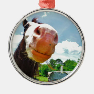 Ornement En Métal Cheval souriant