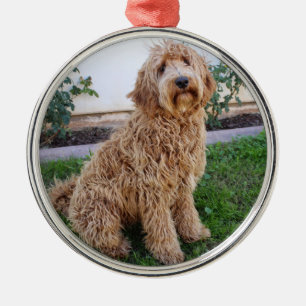 Ornement En Métal Chien à chicots de Labradoodle