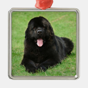 Ornement En Métal Chien de Terre-Neuve