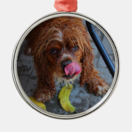 Ornement En Métal Chien humide avec banane