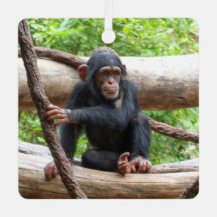Ornement En Métal Chimpanzée 001