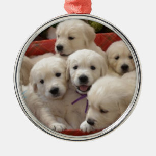 Ornement En Métal Chiots heureux de golden retriever de vacances
