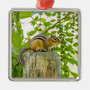 Ornement En Métal Chipmunk sur un poteau de clôture