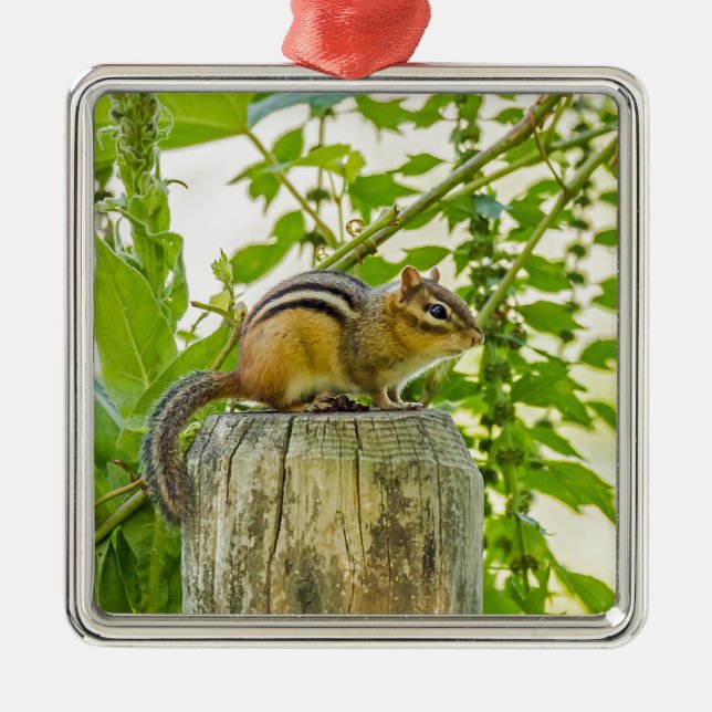Ornement En Métal Chipmunk sur un poteau de clôture (Devant)
