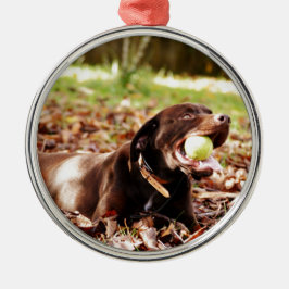 Ornement En Métal Chocolat Labrador Jouer Avec Ball