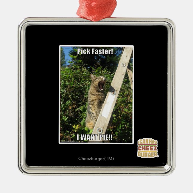 Ornement En Métal Choisissez plus vite ! (Devant)