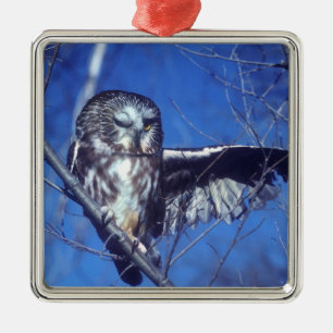 Ornement En Métal Cligner de l'oeil le hibou