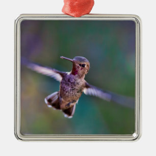 Ornement En Métal Colibri