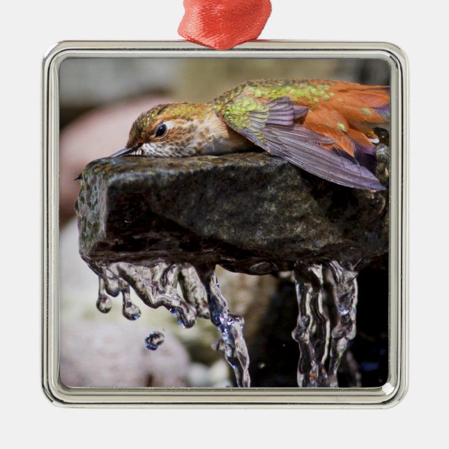 Ornement En Métal Colibri s'étendant dans l'eau (Devant)