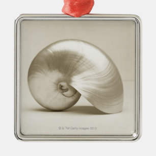Ornement En Métal Coquille Pearlised de mer de nautilus