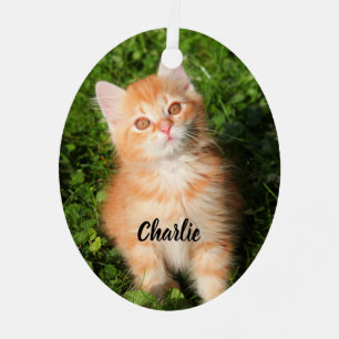Ornement En Métal Cute Fluffé Orange Tabby Chat Kitten