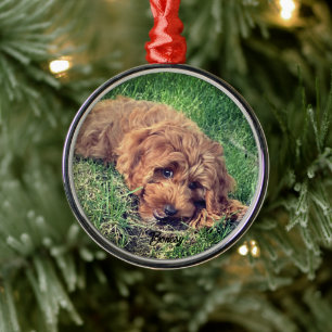 Ornement En Métal Cute Golden Doodle Premium