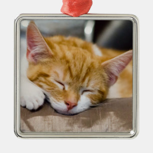 Ornement En Métal Cute Kitten