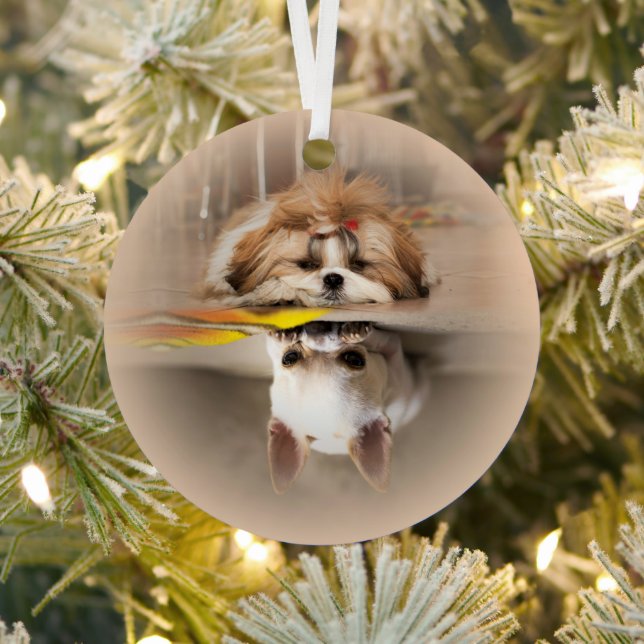 Ornement En Métal Cute shih tzu et chihuahua (Insitu)