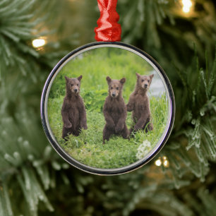 Ornement En Métal Cutest Baby Animals   Kamchatka Brown Bear Cubs