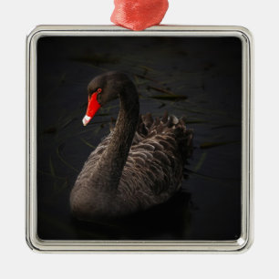 Ornement En Métal Cygne noir
