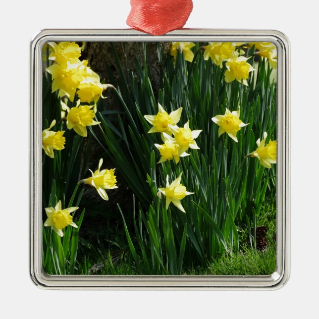 Ornement En Métal Daffodiques de printemps (Devant)
