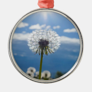 Ornement En Métal Dandelion Dans La Lumière