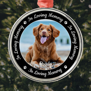 Ornement En Métal Dans Loss Memory Pet Perdre Photo Pet Memorial