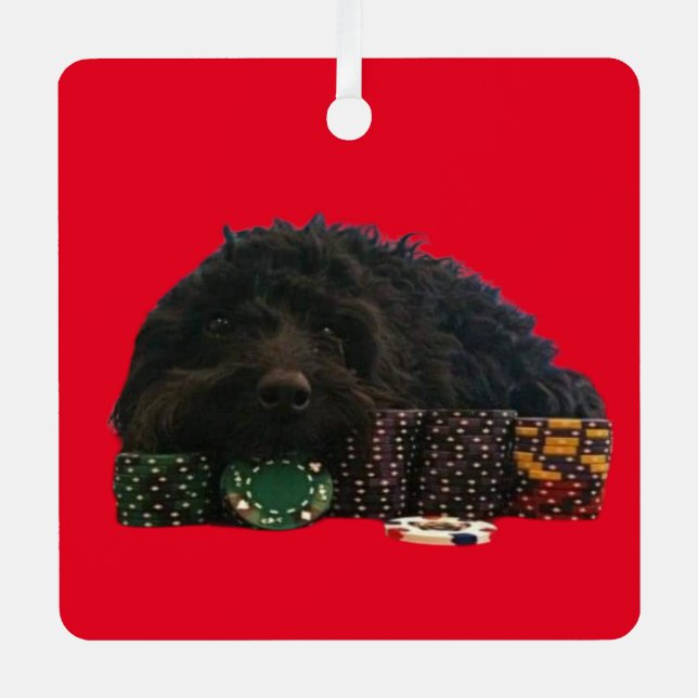 Ornement en métal de chien de poker (Recto)