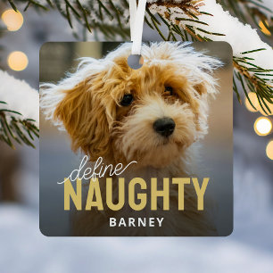 Ornement En Métal Définir Naughty Pet Photo Noël