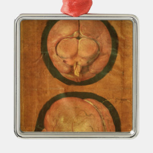 Ornement En Métal Dessin anatomique de l'esprit humain