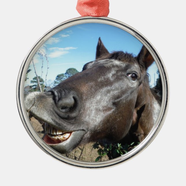 Ornement En Métal Drôle Cheval brun visage (Devant)