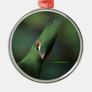 Ornement En Métal Drôle Curieux Guinée Turaco Oiseau Vert