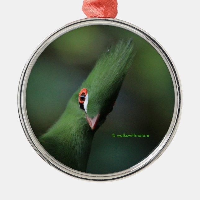 Ornement En Métal Drôle Curieux Guinée Turaco Oiseau Vert (Devant)