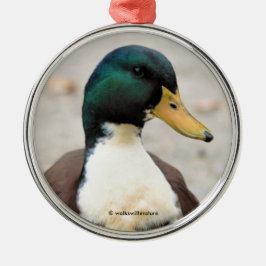Ornement En Métal Drôle domestique Mallard Duclair Bibbed Odd Duck