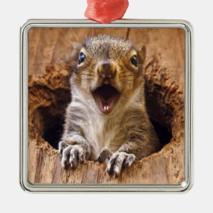 Ornement En Métal Écureuil choqué