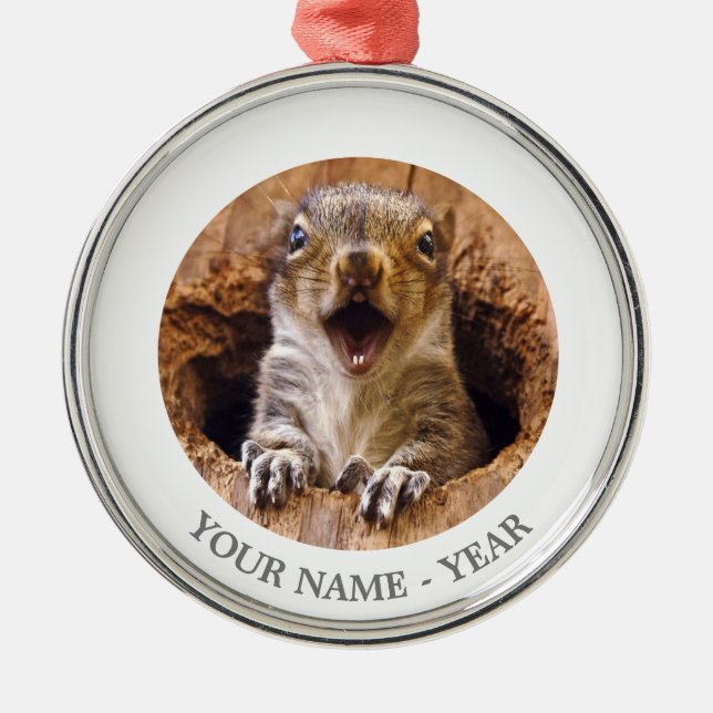 Ornement En Métal Écureuil choqué (Devant)