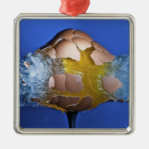 Ornement En Métal Eggceptional