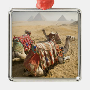 Ornement En Métal Égypte, Le Caire. Chameaux au repos